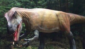 Im Dinopark Denkendorf gibt es Lebensgroße und sehr echt wirkende Nachbildungen, die einem einen guten Eindruck in die Welt der Dinos geben