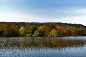 Der Höllensteinsee - Boot fahren, Angeln oder ein großes Wasserkraftwerk ansehen... oder einfach am Ufer sitzen und picknicken