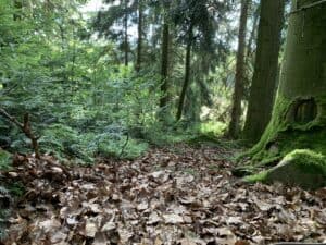 Survival Camp Bayerischer Wald