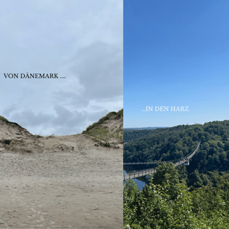 Von Dänemark in den Harz